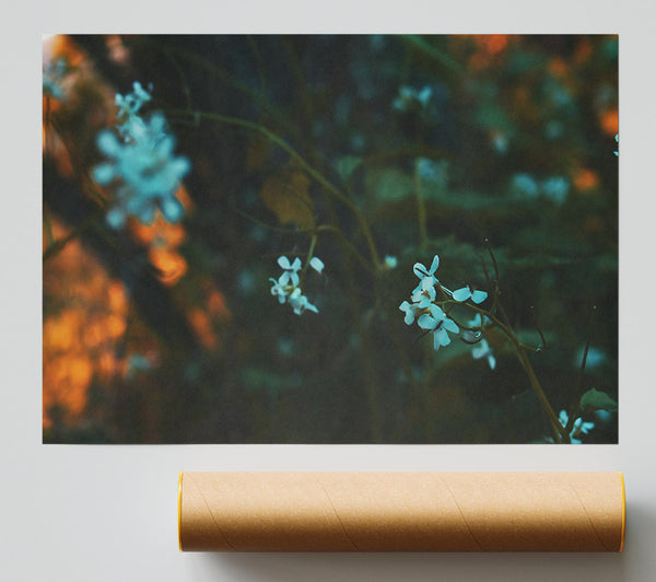 Teal Bloom In Shadows Print