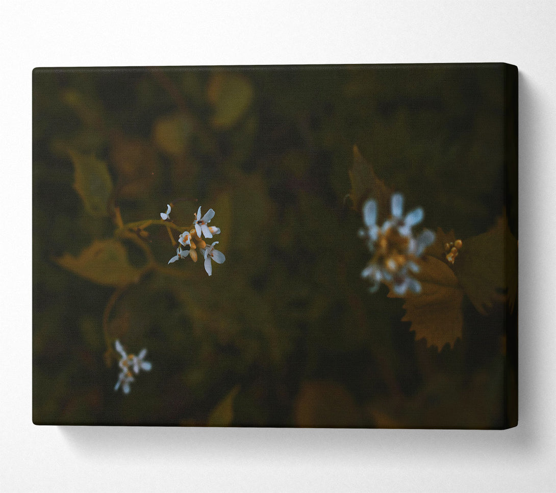  A Canvas Print of Dark Green Blooms Canvas Print