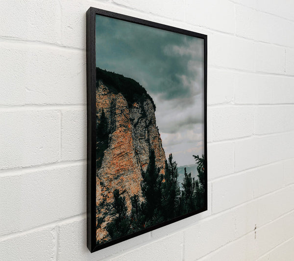 Gray Cliffside Pines