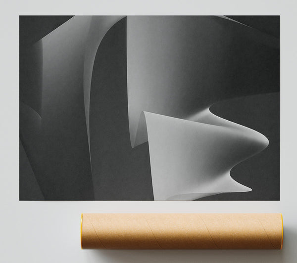 Black And White Curves Poster