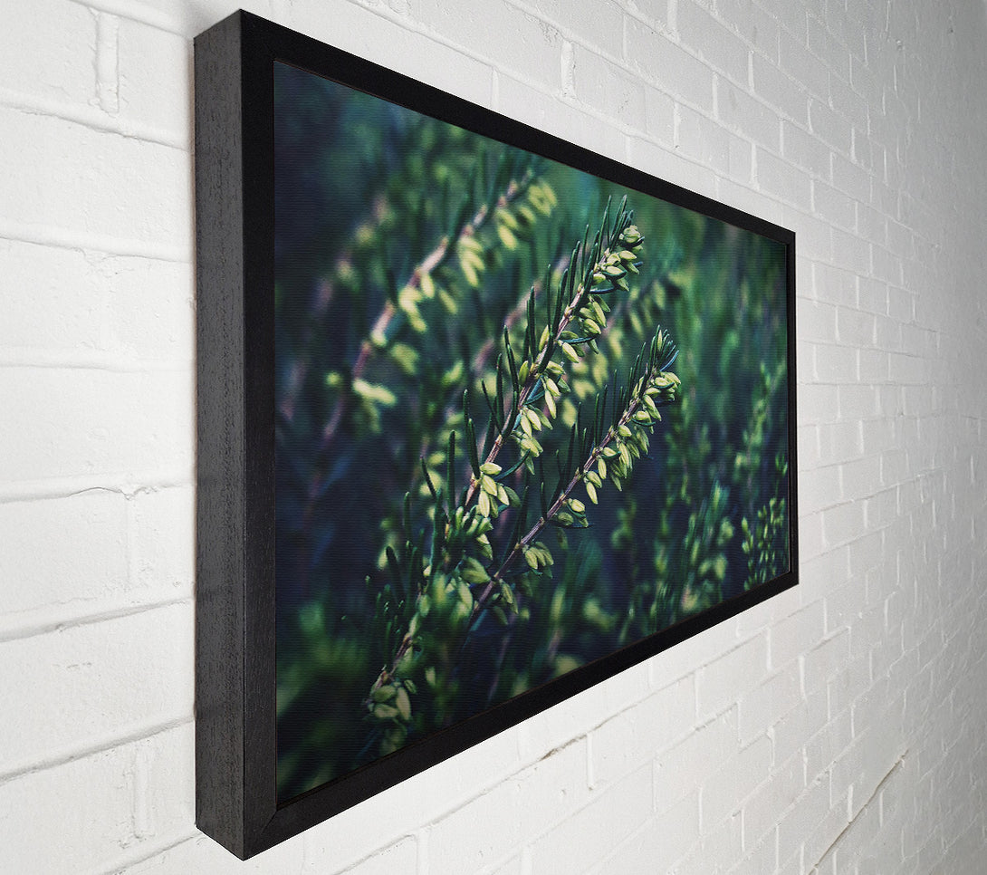  A Canvas Print of Emerald Green Sprigs Canvas Art