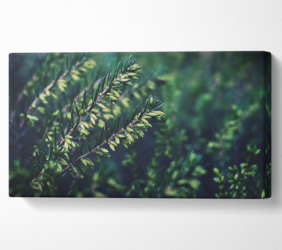  A Canvas Print of Emerald Green Sprigs Canvas Art