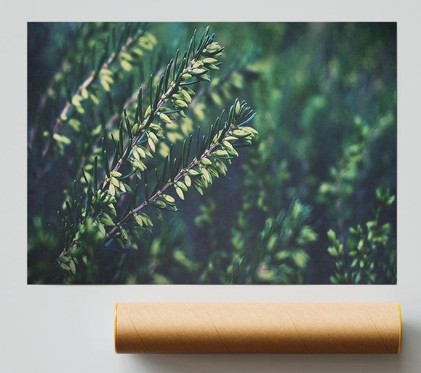 Emerald Green Sprigs Poster