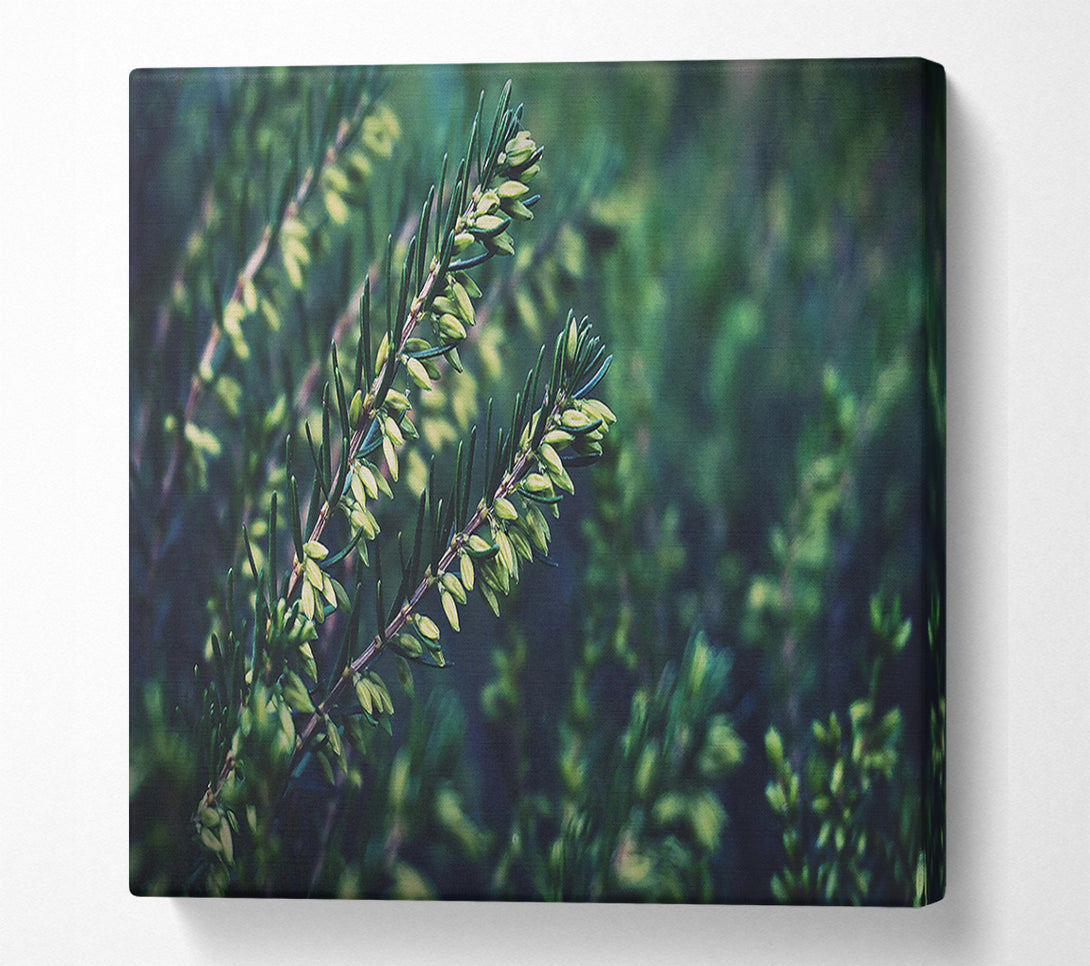  A Canvas Print of Emerald Green Sprigs Canvas Art