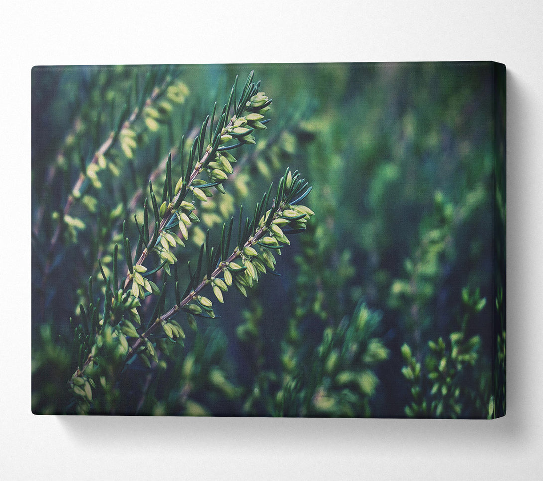 A Canvas Print of Emerald Green Sprigs Canvas Art