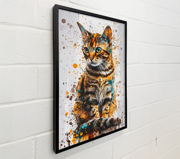 Golden Cat Splash
