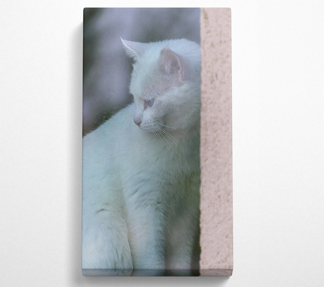  A Canvas Print of White Feline Mystery Canvas Art