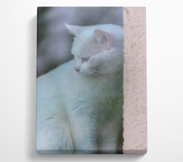  A Canvas Print of White Feline Mystery Canvas Art
