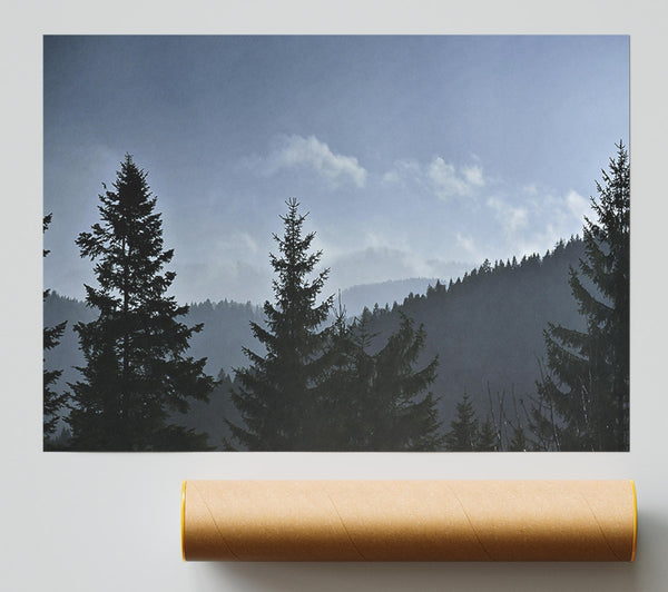 Blue Silhouettes Of Pines Giclee Print