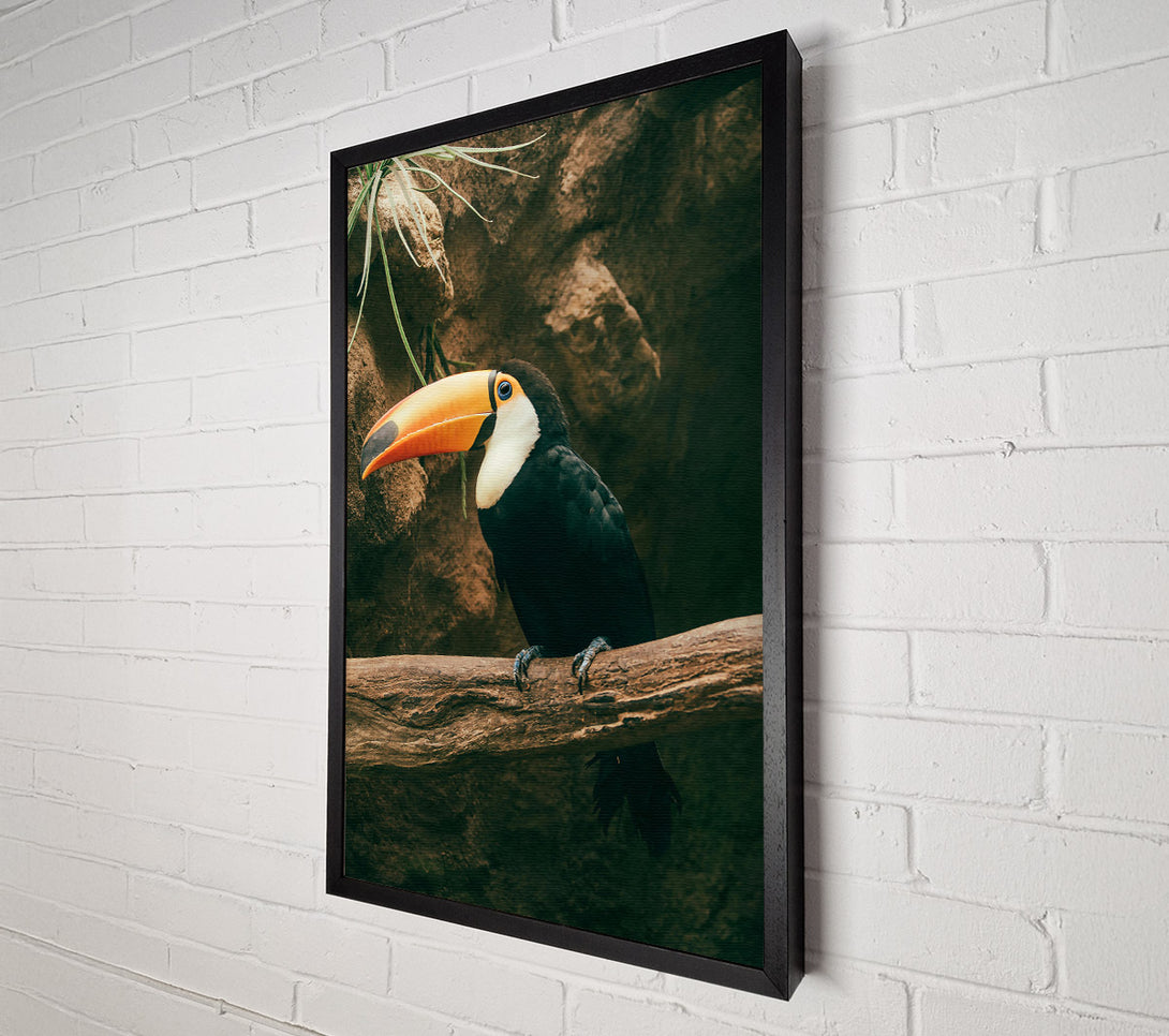  A Canvas Print of Black Toucan On Branch Canvas Wall Art