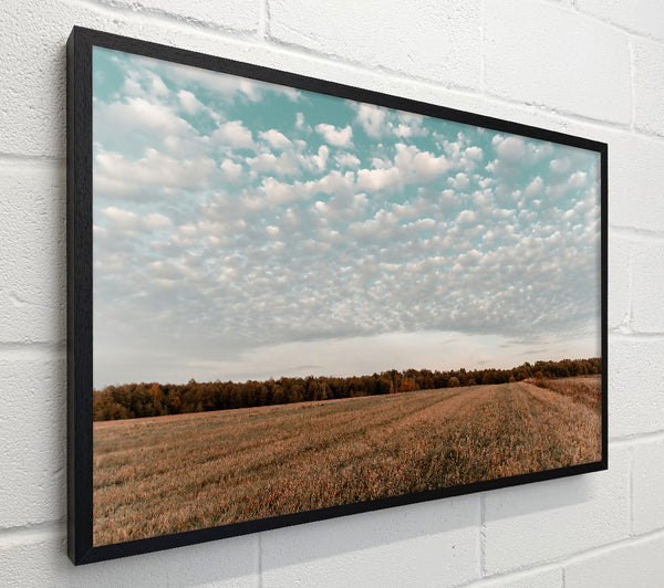 Teal Sky Field