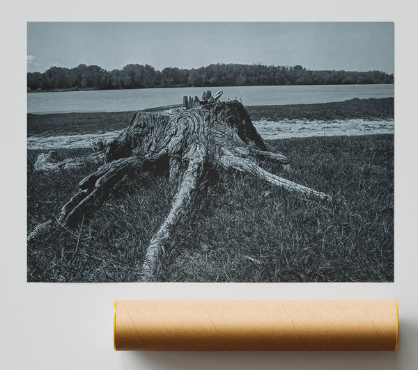 Blue Tree Stumps Giclee Print