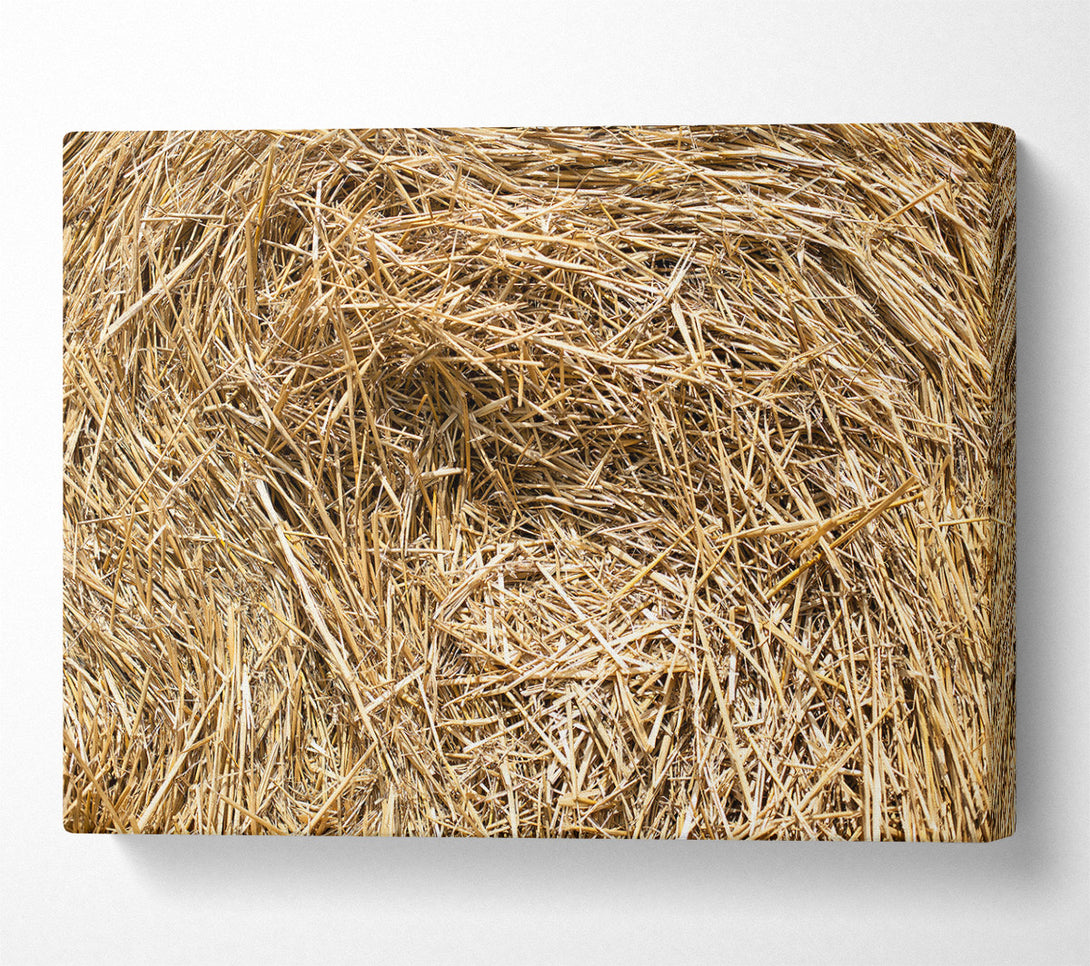  A Canvas Print of Golden Hay Bale Texture Canvas Print