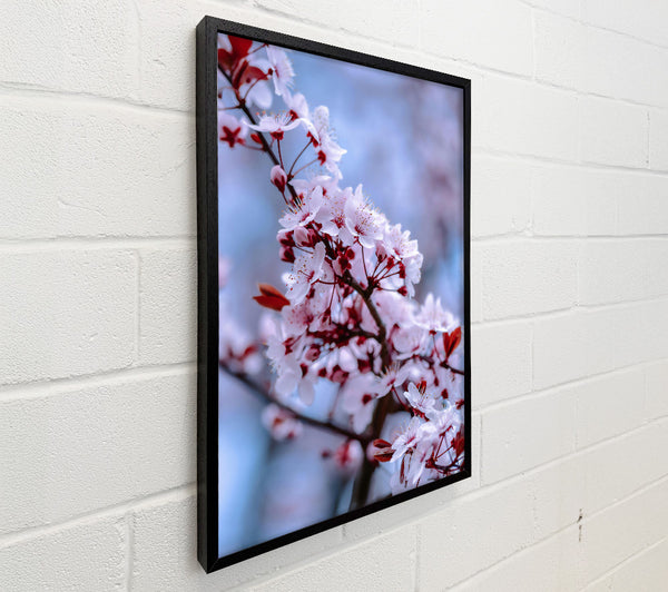 Crimson Blossom Bloom