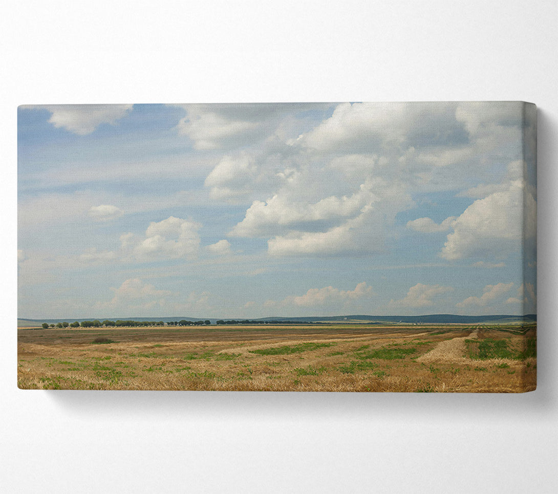  A Canvas Print of Golden Field Cloudscape Canvas Art
