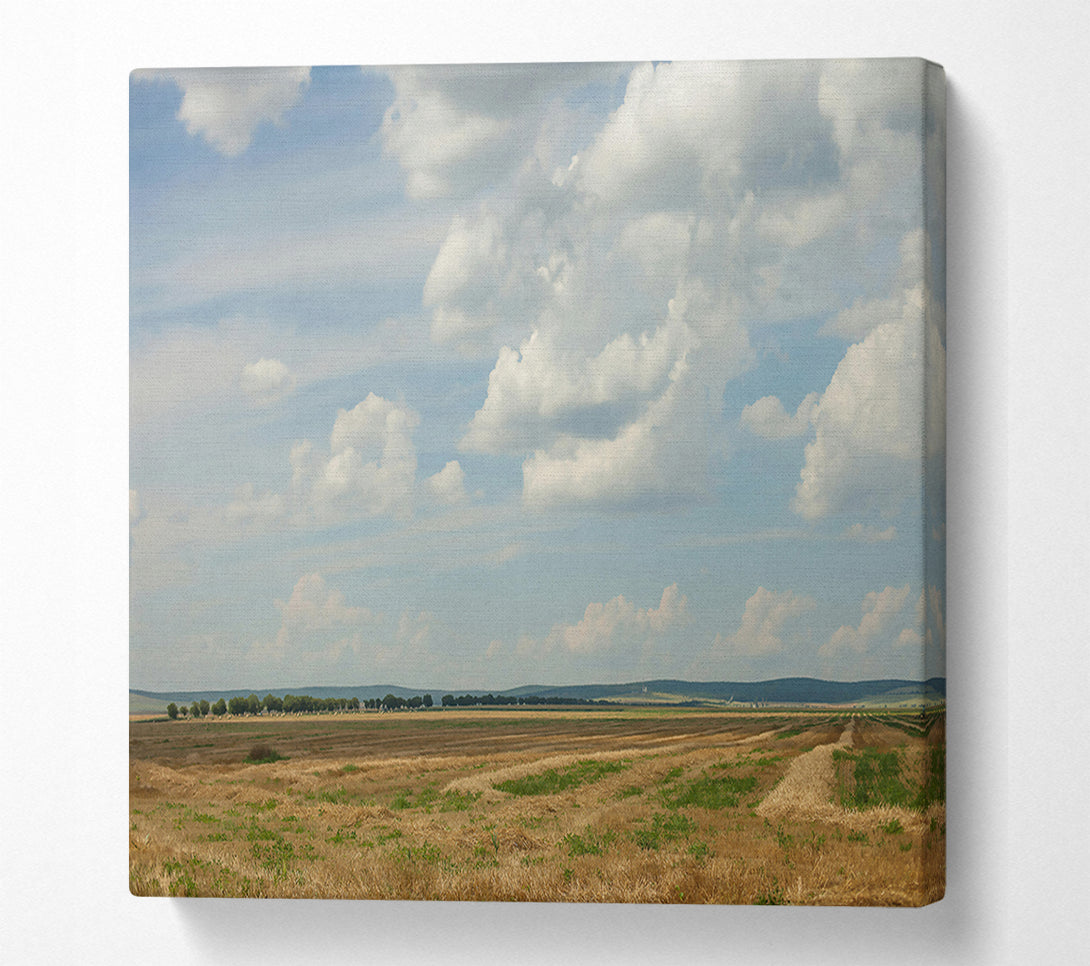  A Canvas Print of Golden Field Cloudscape Canvas Art