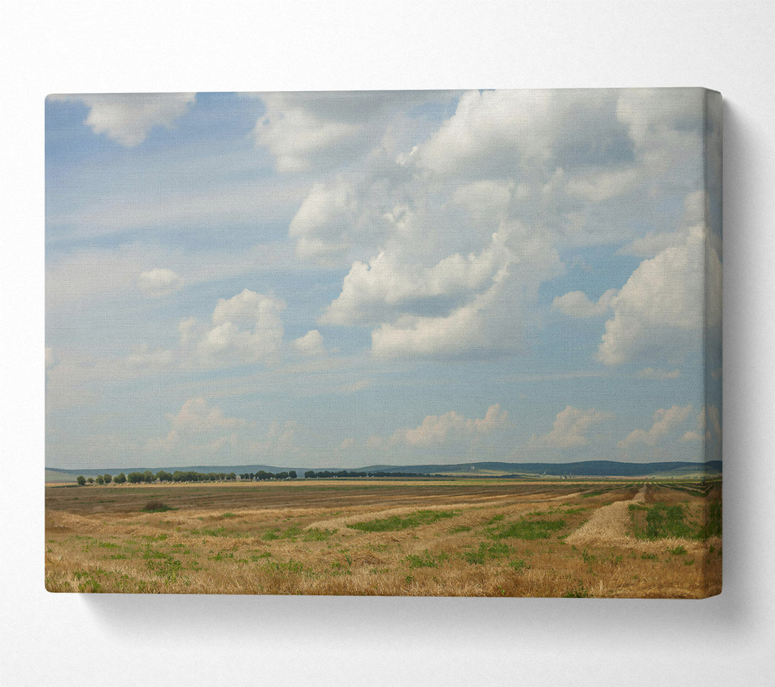  A Canvas Print of Golden Field Cloudscape Canvas Art