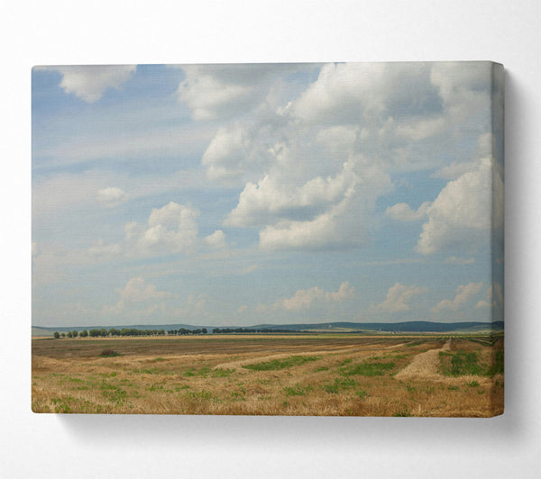 A Canvas Print of Golden Field Cloudscape Canvas Art
