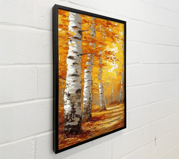 Golden Birch Grove