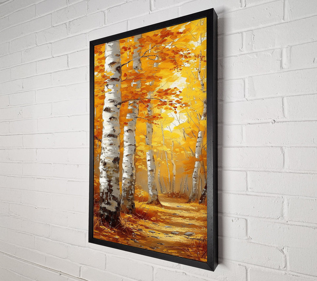  A Canvas Print of Golden Birch Grove Canvas Art