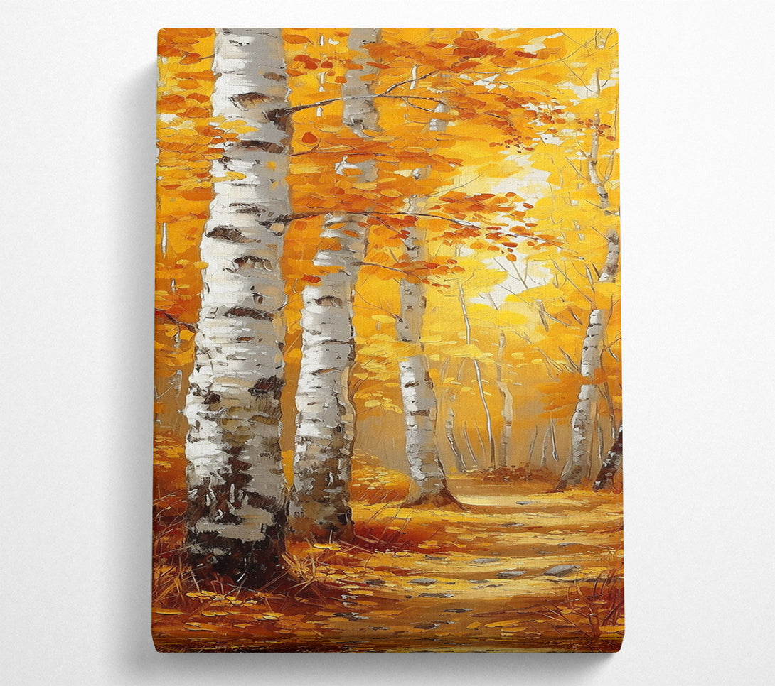  A Canvas Print of Golden Birch Grove Canvas Art