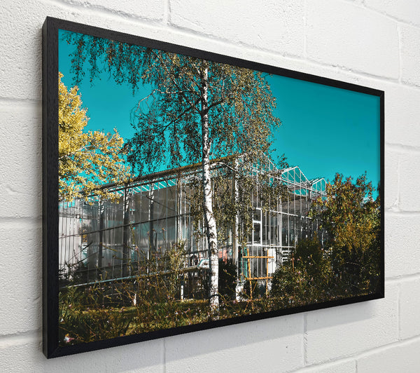 Blue Greenhouse Dreams