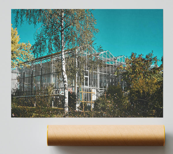 Blue Greenhouse Dreams Print