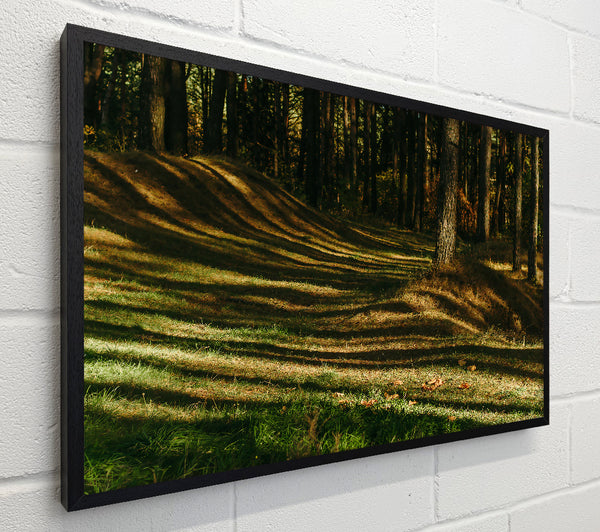 Golden Forest Stripes