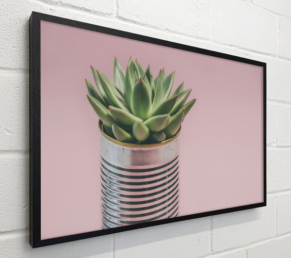 Pink Succulent Can