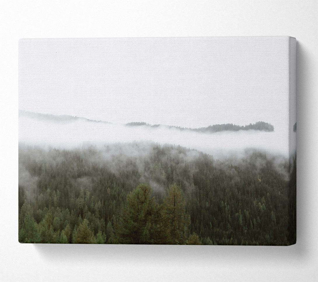  A Canvas Print of Green Mist Mountains Canvas Art