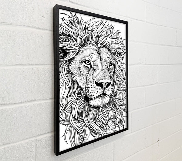 Black And White Majesty