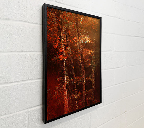 Crimson Forest Glow