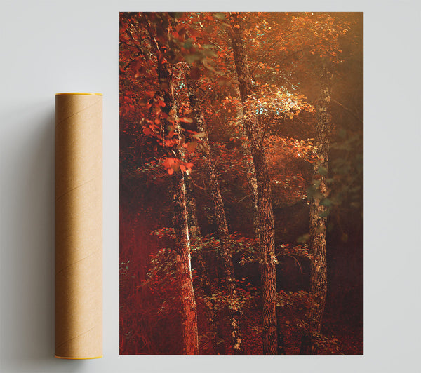 Crimson Forest Glow Poster