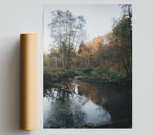 Golden River Reflections Poster