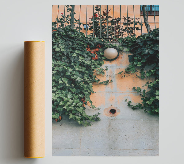 Green Wall Light Giclee Print