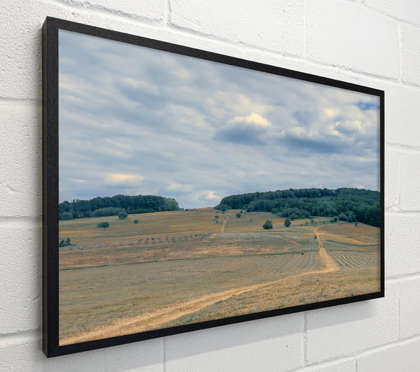 Golden Fields And Clouds