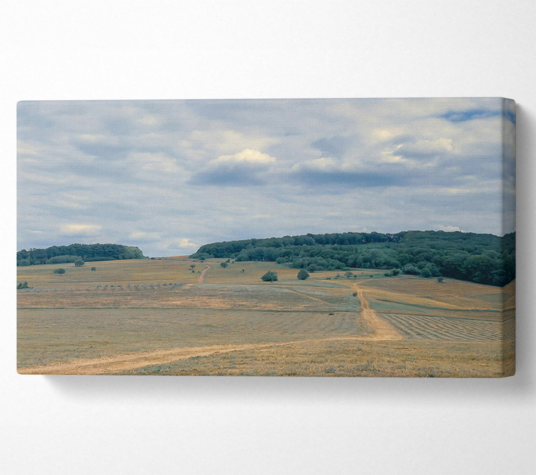  A Canvas Print of Golden Fields And Clouds Canvas Wall Art