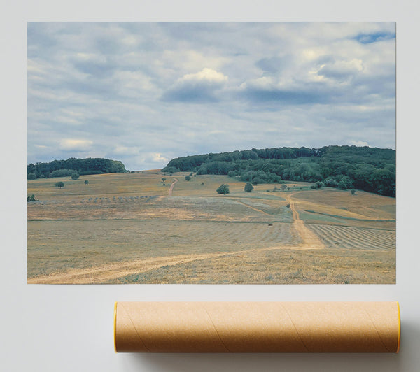 Golden Fields And Clouds Giclee Print