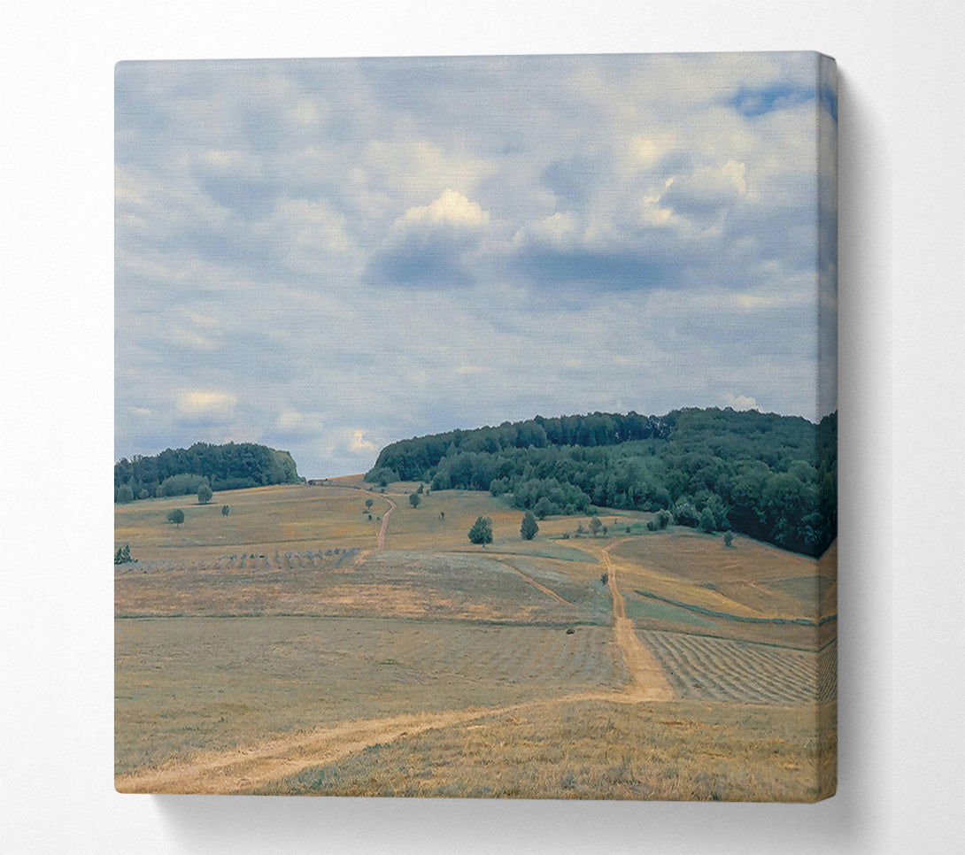  A Canvas Print of Golden Fields And Clouds Canvas Wall Art