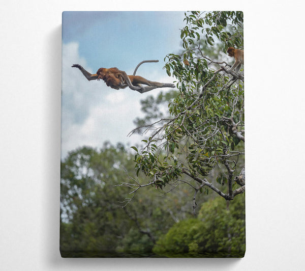  A Canvas Print of Brown Leaping Proboscis Canvas Print