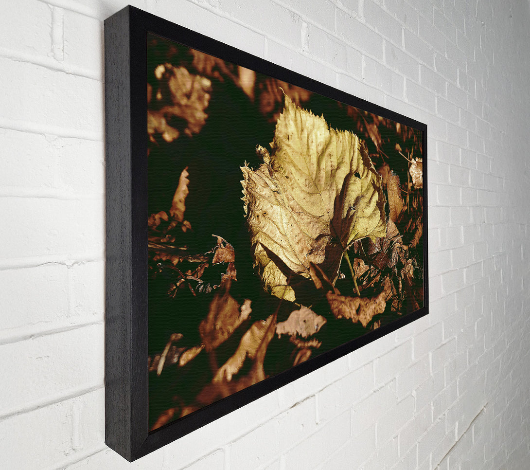  A Canvas Print of Golden Leaf Among Brown Canvas Print