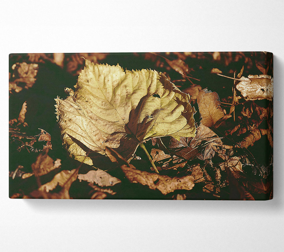  A Canvas Print of Golden Leaf Among Brown Canvas Print