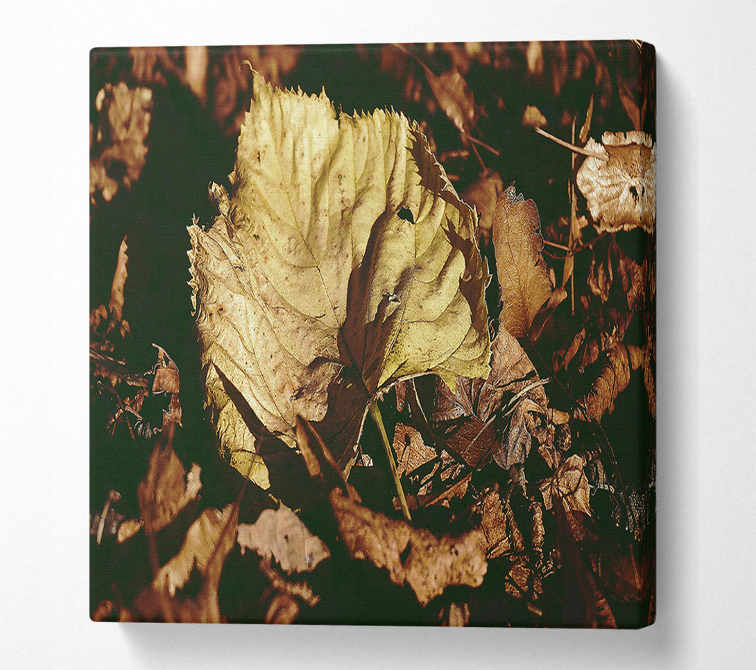  A Canvas Print of Golden Leaf Among Brown Canvas Print
