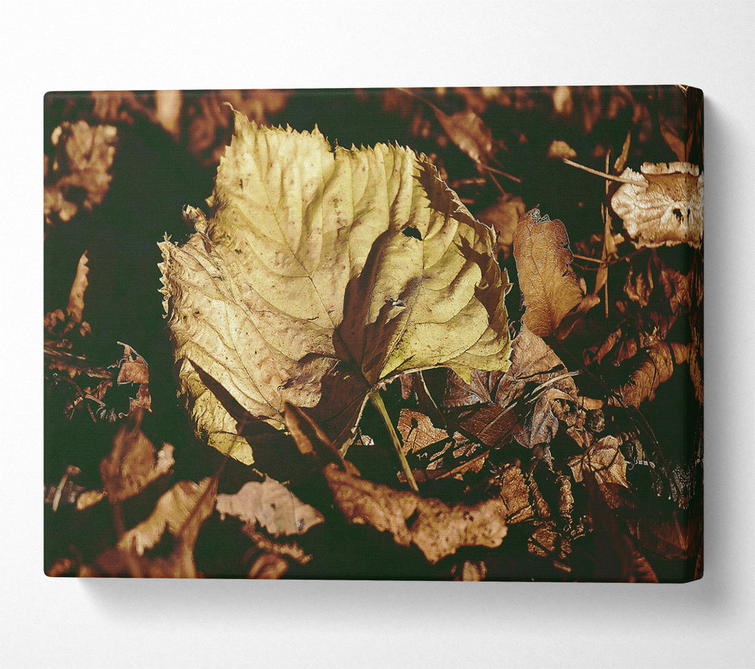  A Canvas Print of Golden Leaf Among Brown Canvas Print
