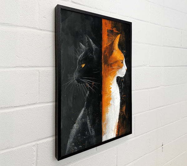 Orange And Black Feline Divide