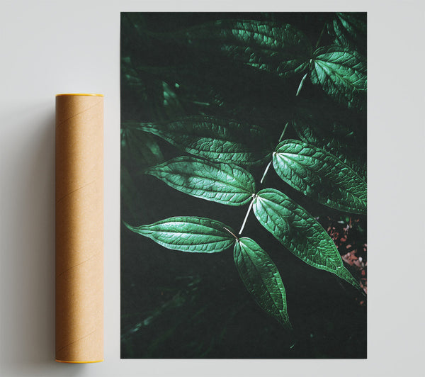 Emerald Green Shadows Giclee Print