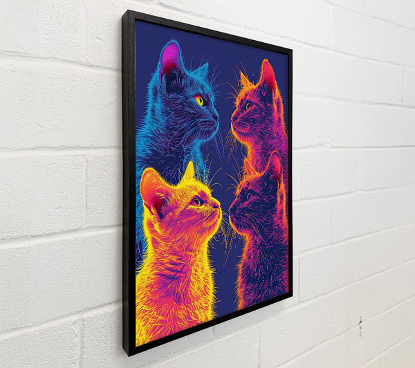 Neon Cat Gaze