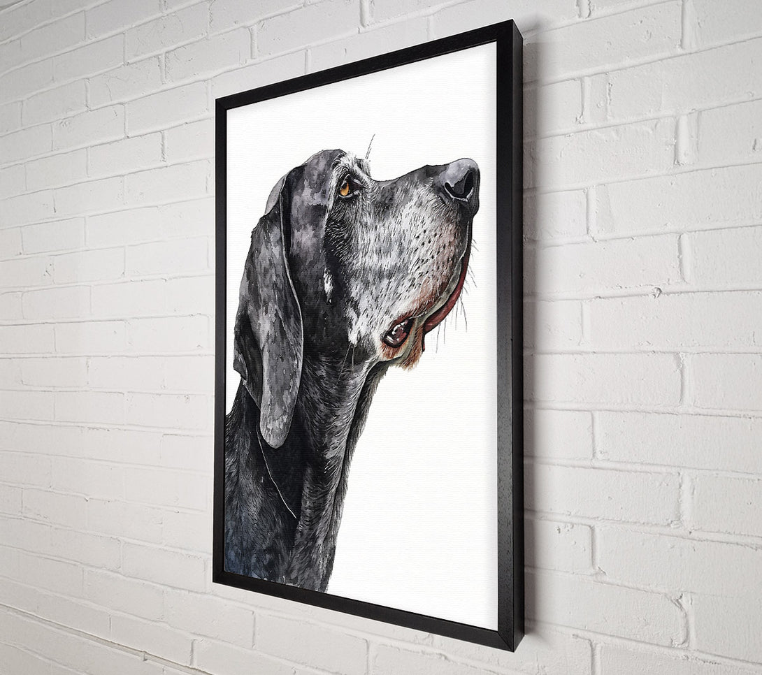  A Canvas Print of Grey Hues Of Hope Canvas Print