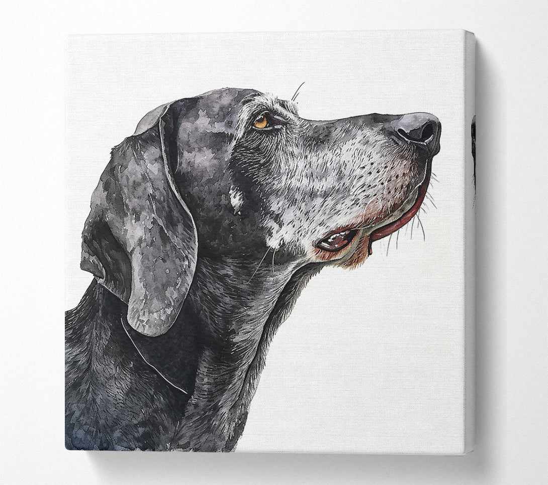  A Canvas Print of Grey Hues Of Hope Canvas Print