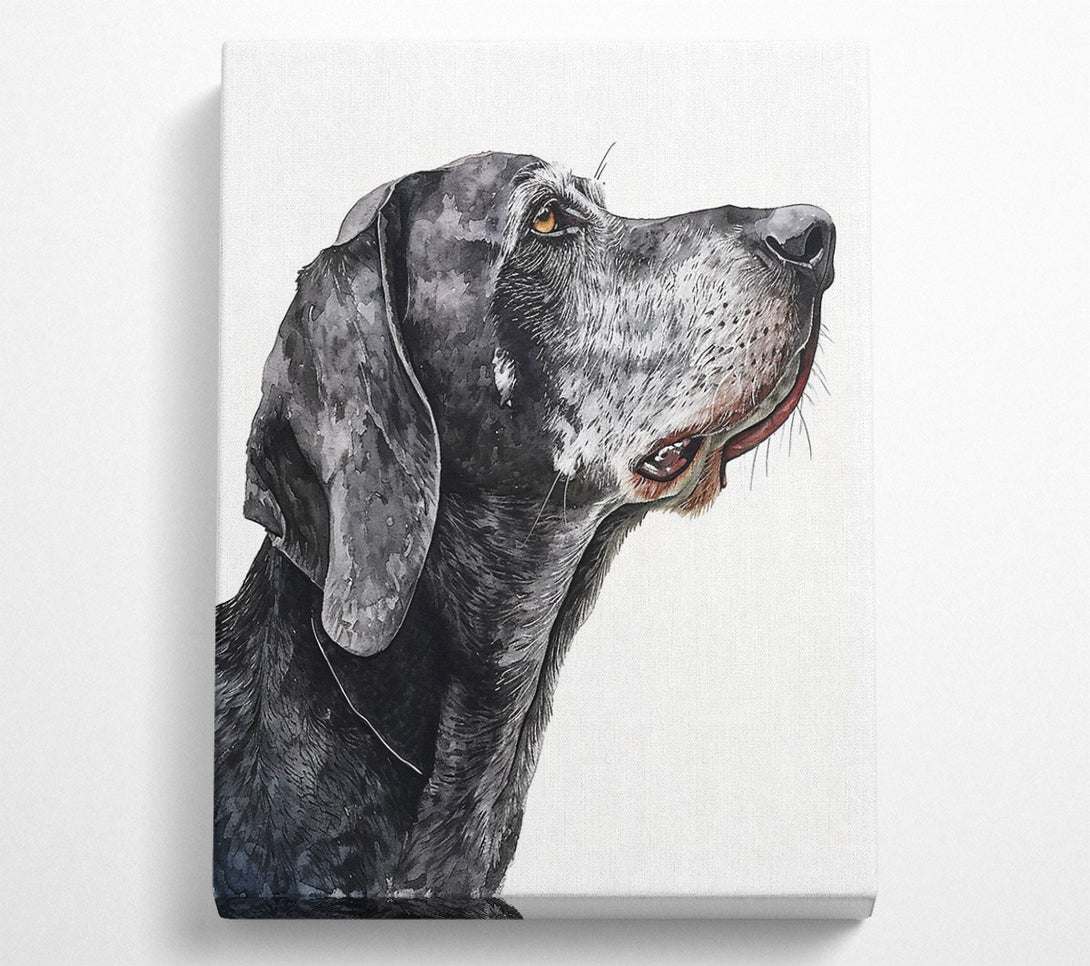  A Canvas Print of Grey Hues Of Hope Canvas Print